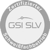 GSI SLV